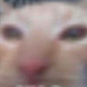 Meet your Posher, Katelyn